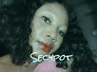 Secypot