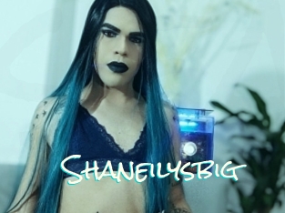 Shaneilysbig