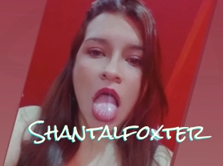 Shantalfoxter