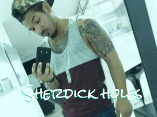 Sherdick_holes