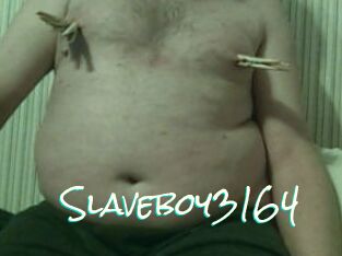 Slaveboy3164