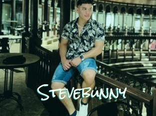 Stevebunny