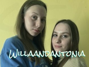 Willaandantonia